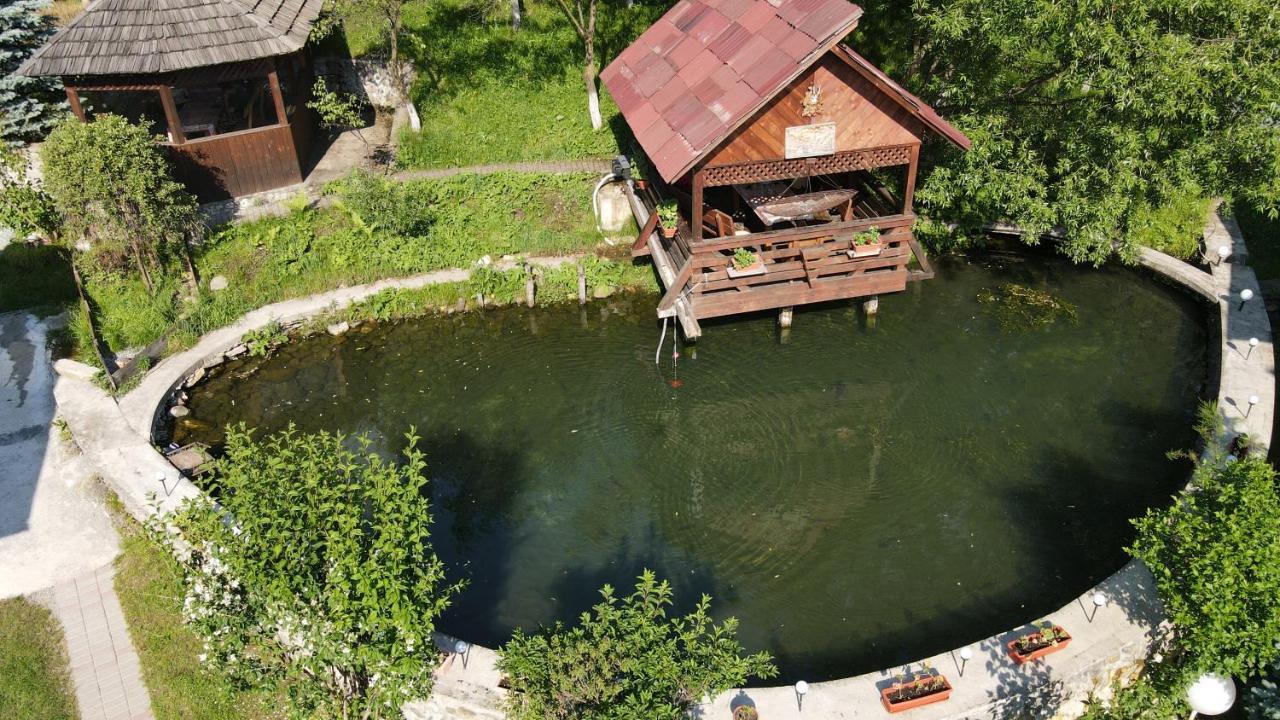 Pensiunea Nagy Vişeu de Sus Exteriér fotografie