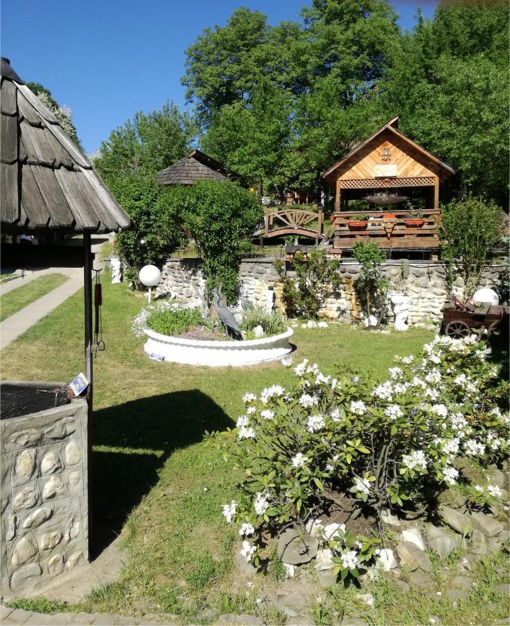 Pensiunea Nagy Vişeu de Sus Exteriér fotografie